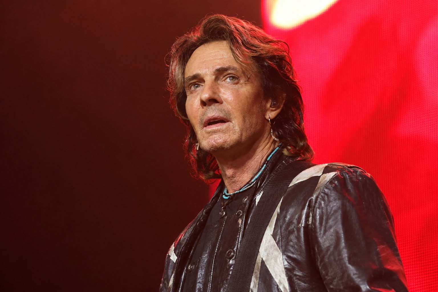 Rick Springfield speaking on the Joe Rogan Experience podcast